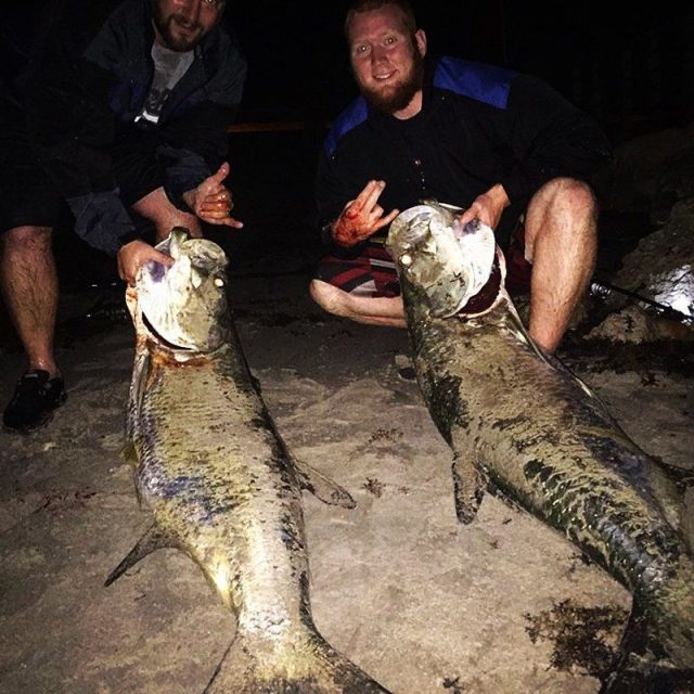 Twins On Tarpon
