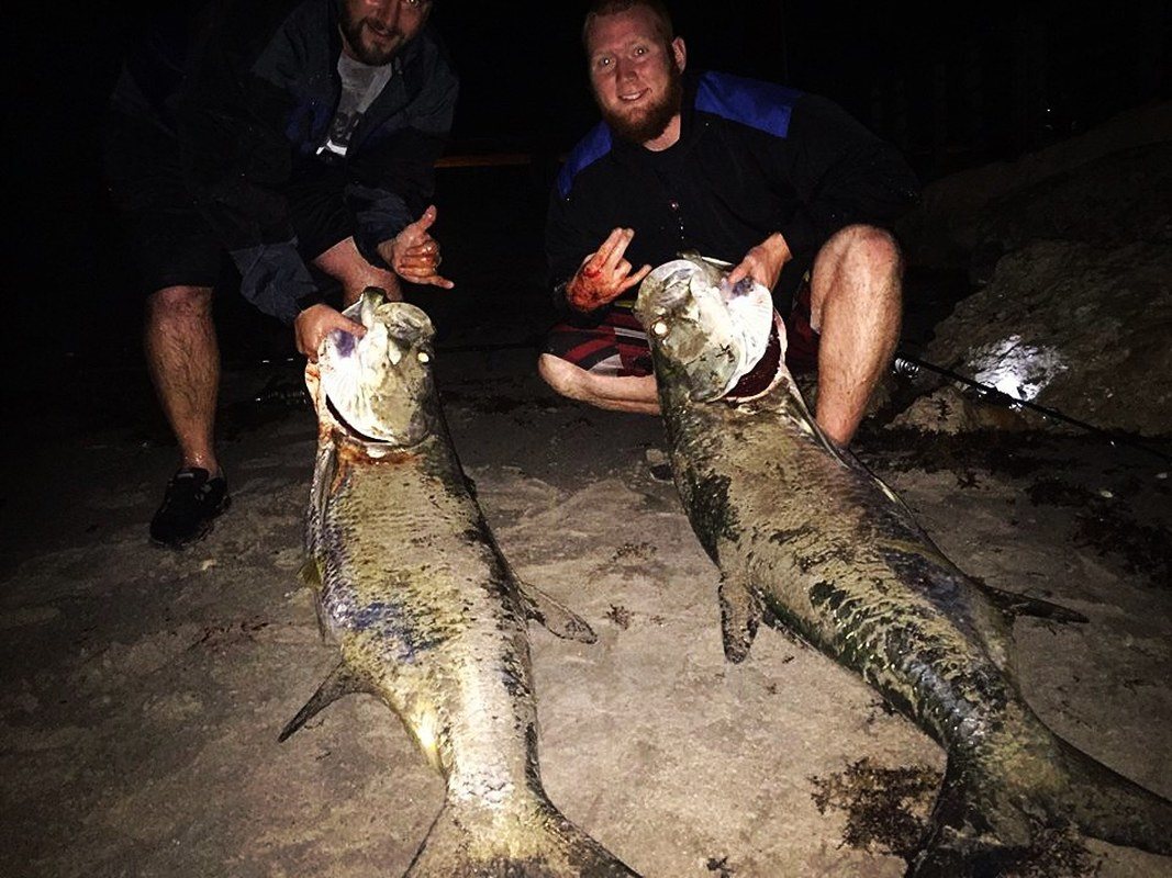 Twins On Tarpon