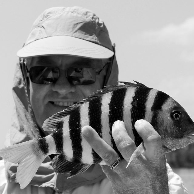 Shellcracker (Sheepshead)