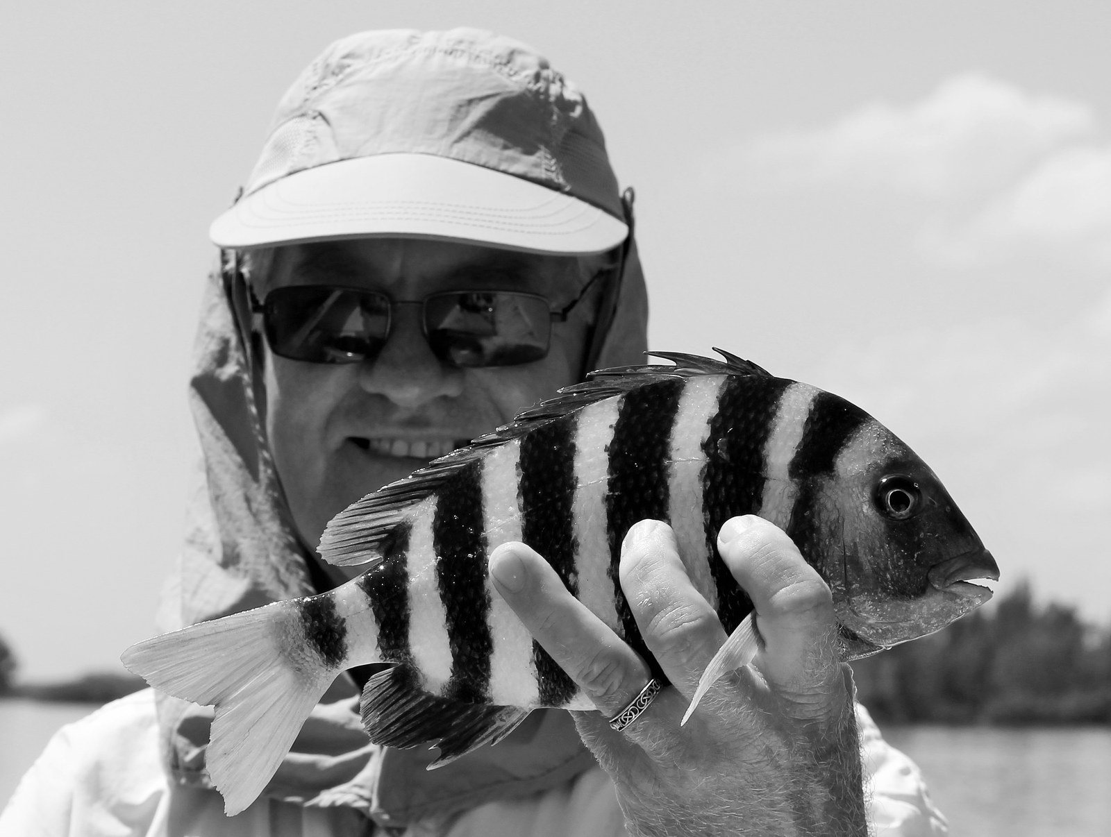 Shellcracker (Sheepshead)