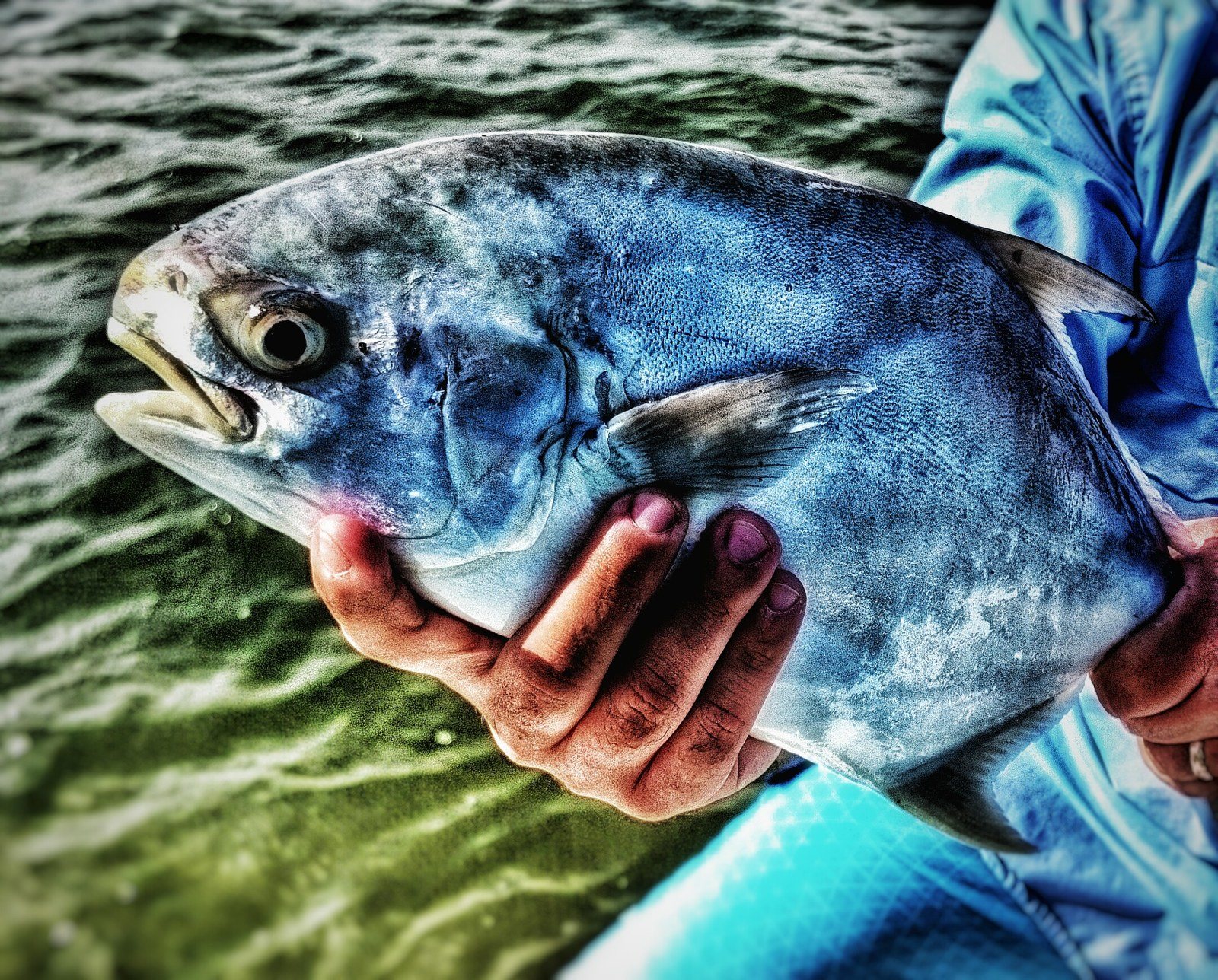 "pompano Dinner Bell"