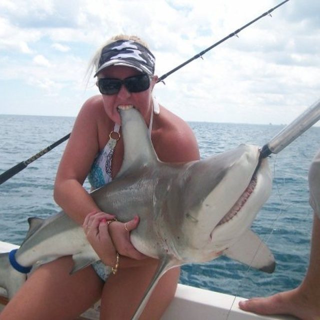 Shark Bite
