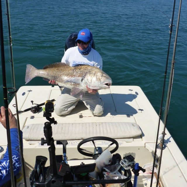 Black Drum 50in. 60+ Lbs
