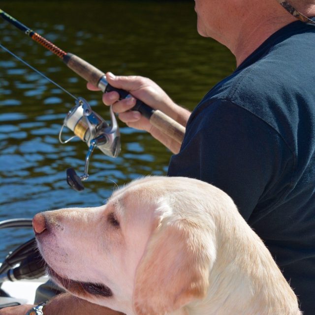 Day On The Water