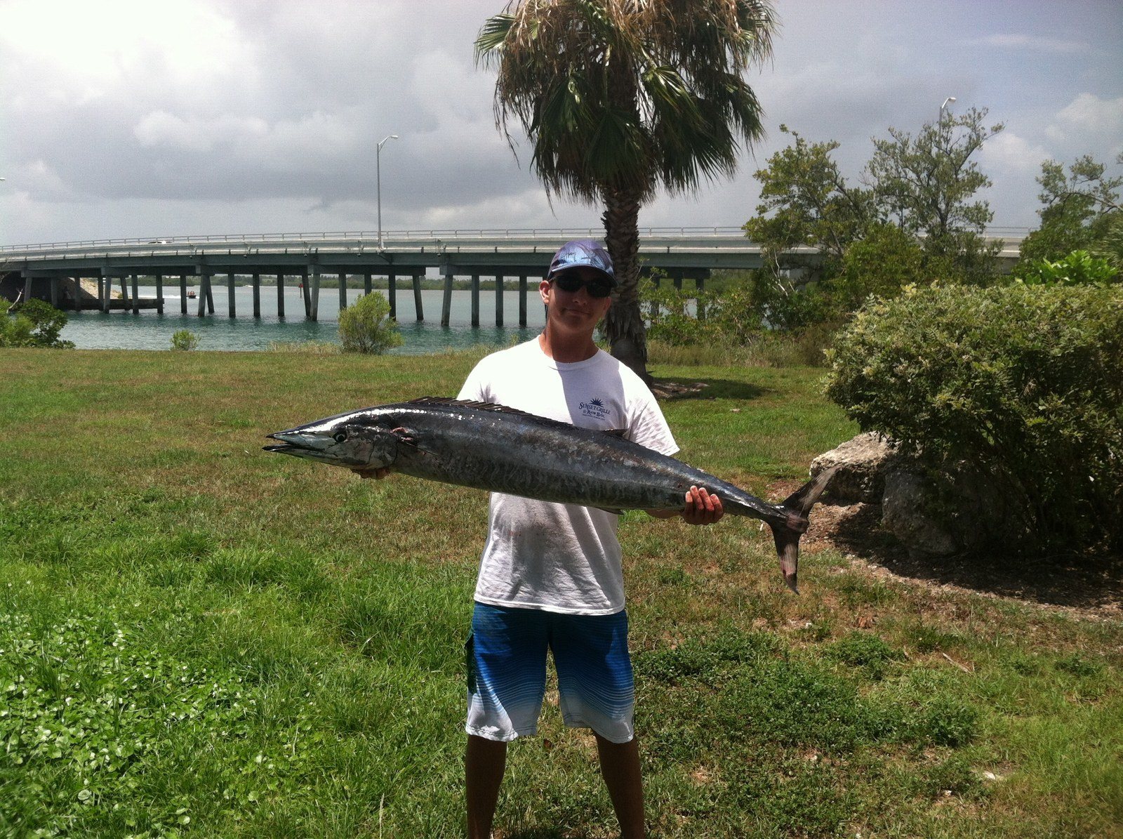 Wahoo