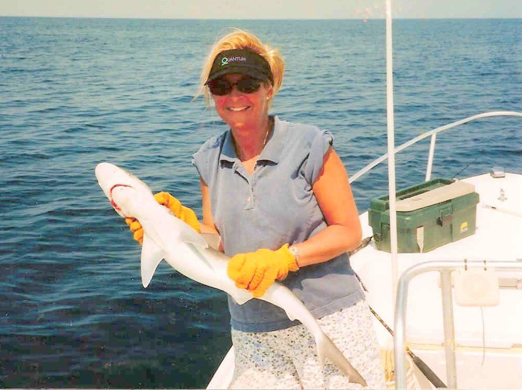 Shark!