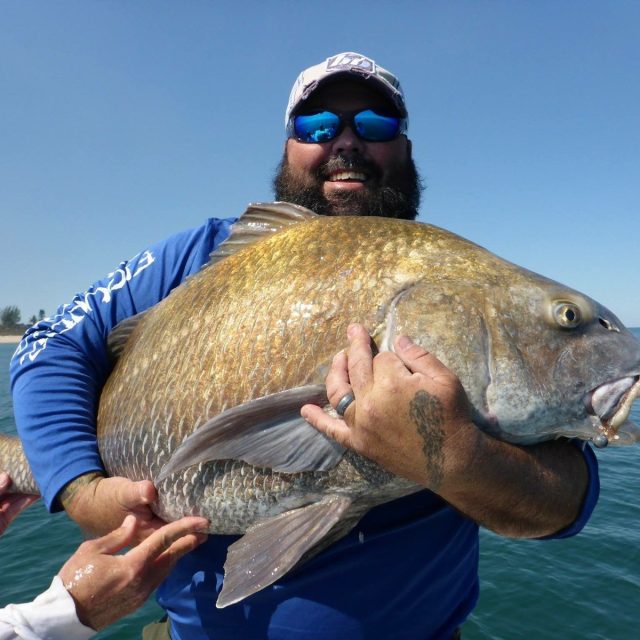50-80 Lb Black Drum