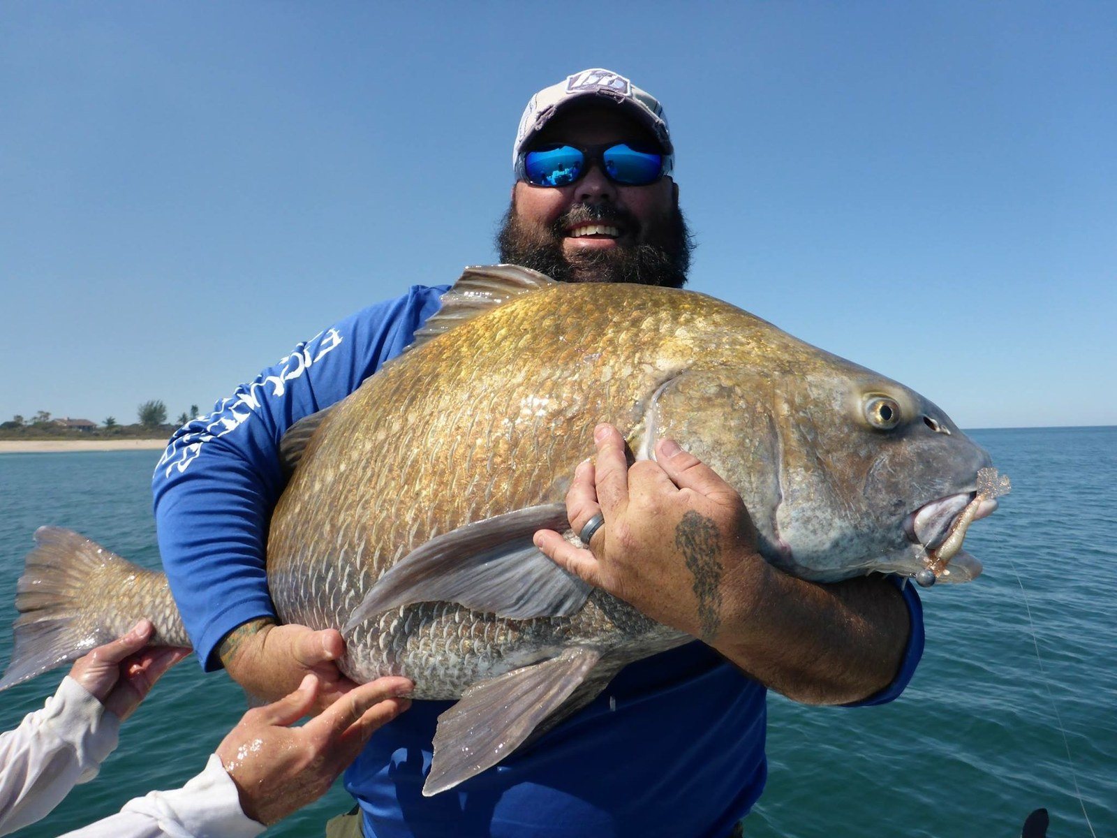 50-80 Lb Black Drum