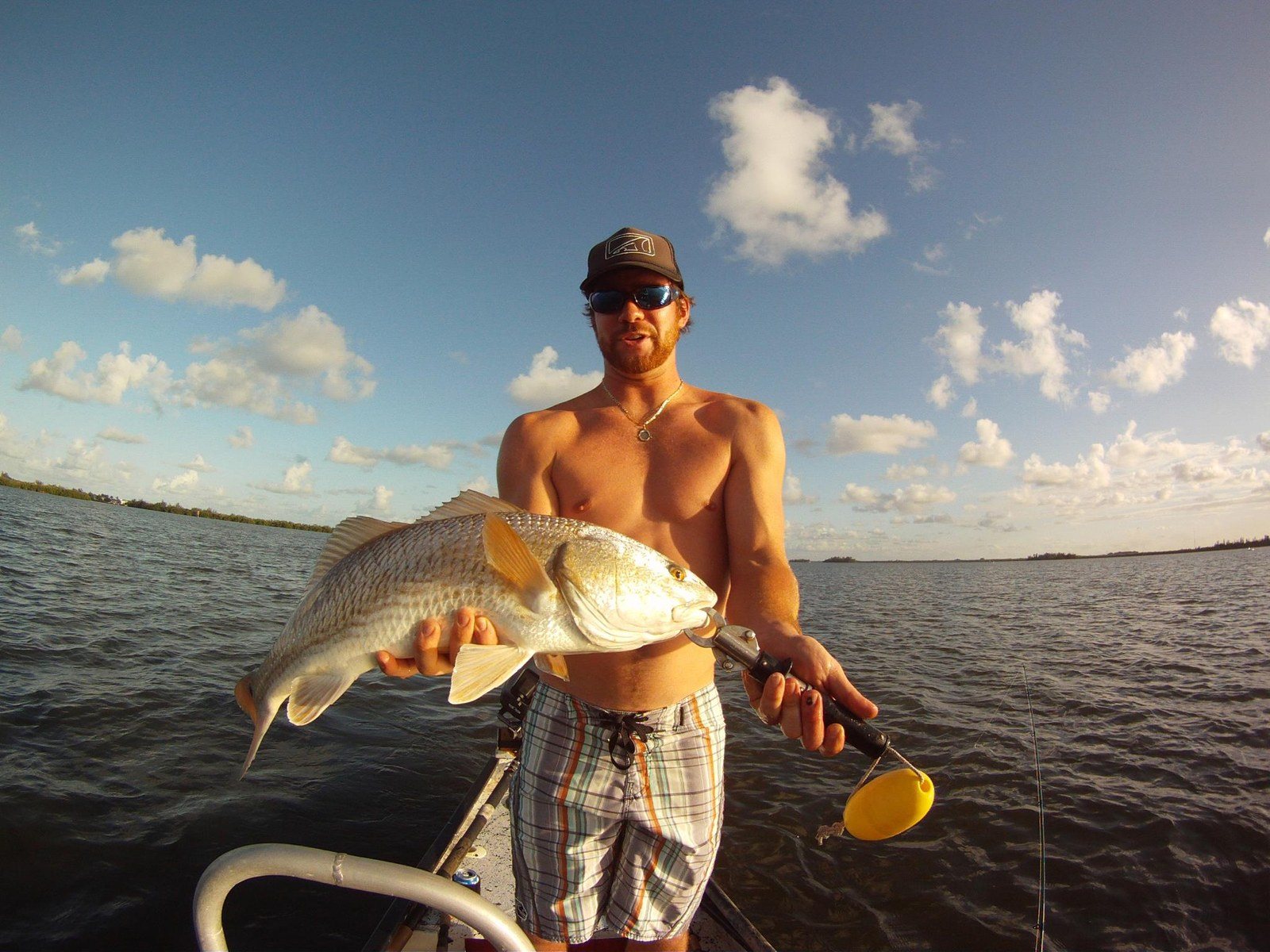 Redbeard Redfish!