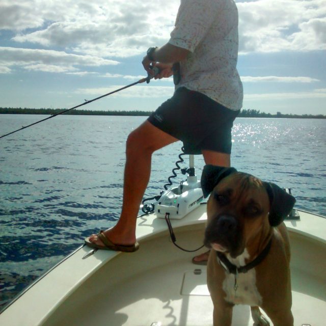 Otis Wants To Fish Too