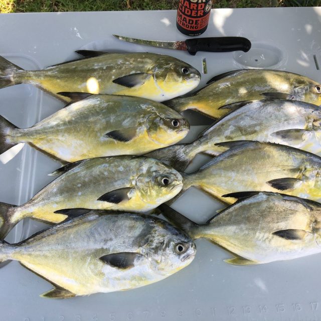 Pompano FP Florida