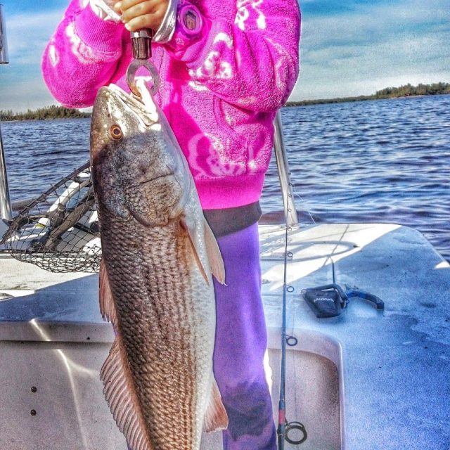 Future Fish FINatic