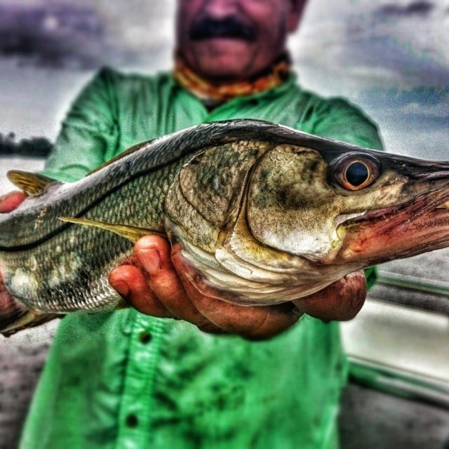 The "dink"