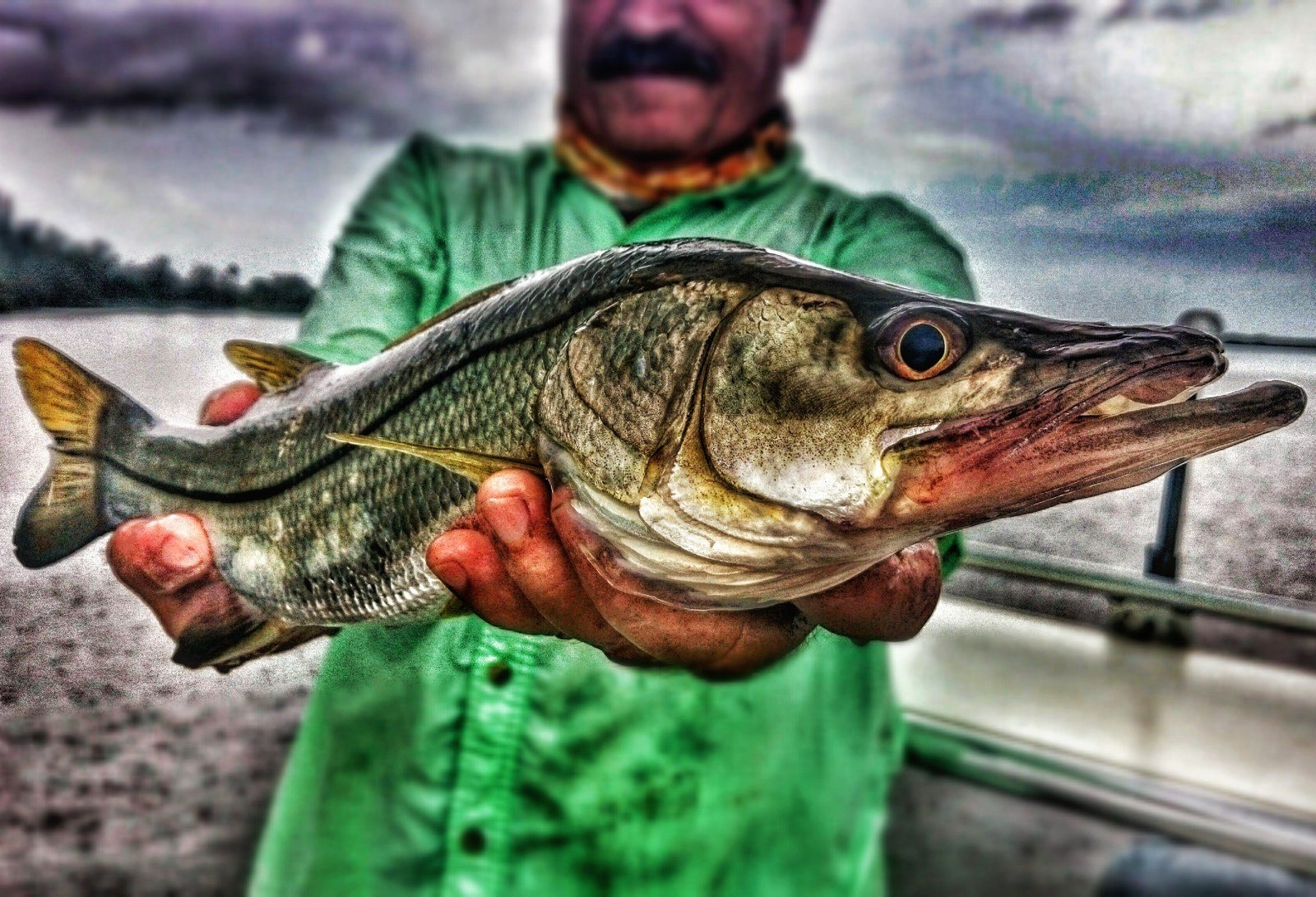 The "dink"