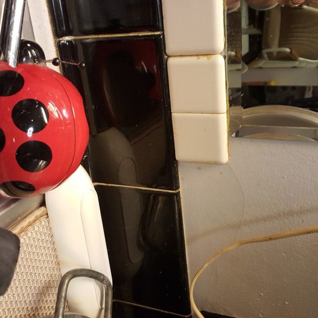 Not So Lucky Ladybug