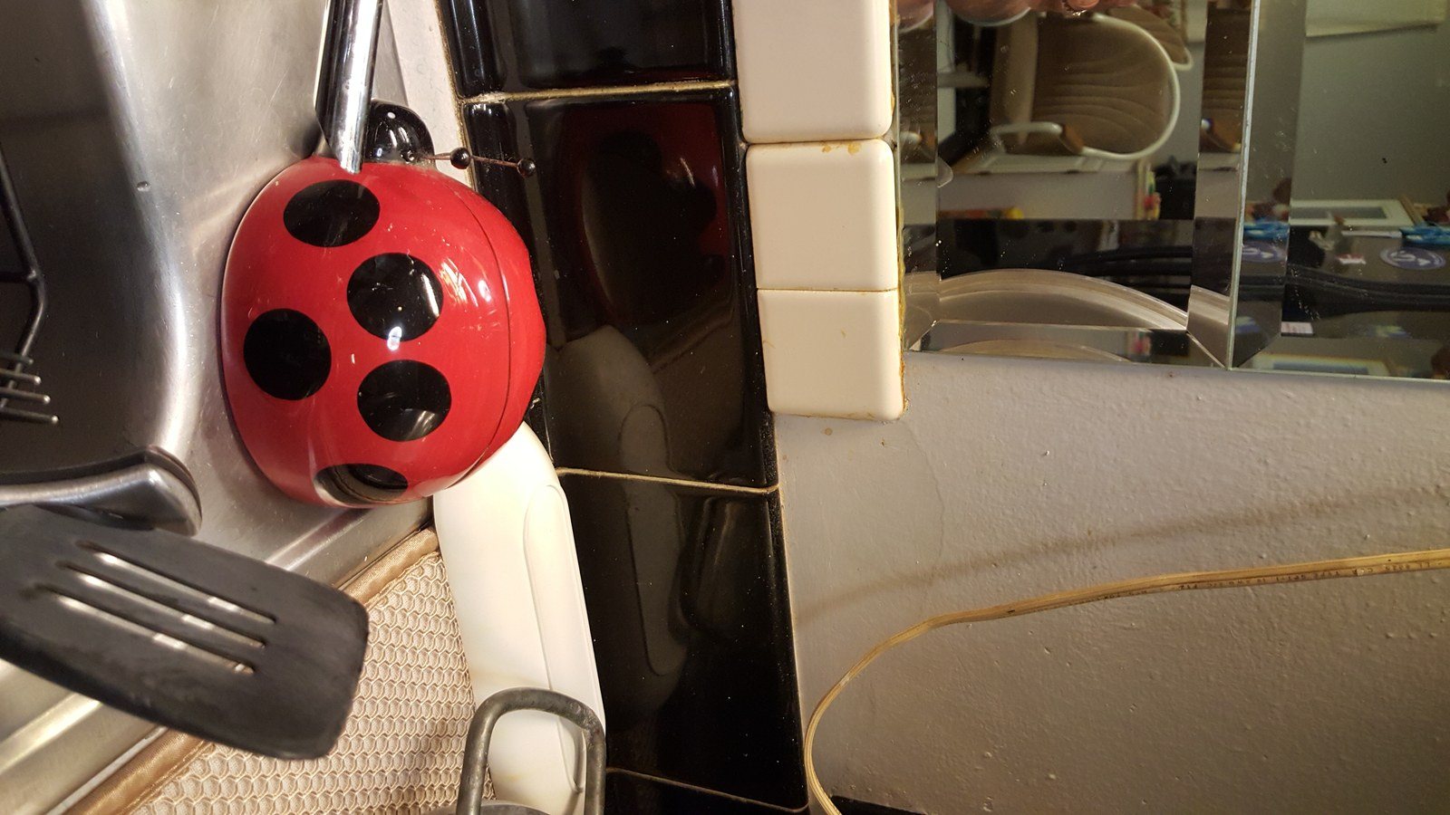 Not So Lucky Ladybug