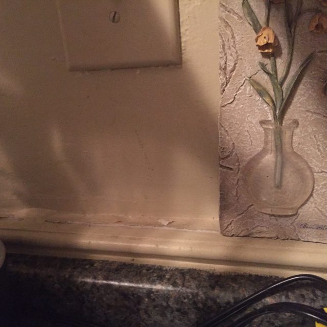 In Need Of A Whole New House :)