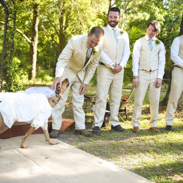 The Best Junior Bride Ever!