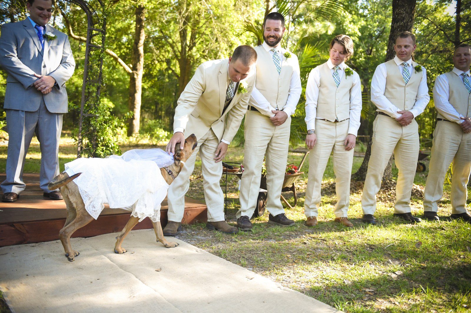 The Best Junior Bride Ever!
