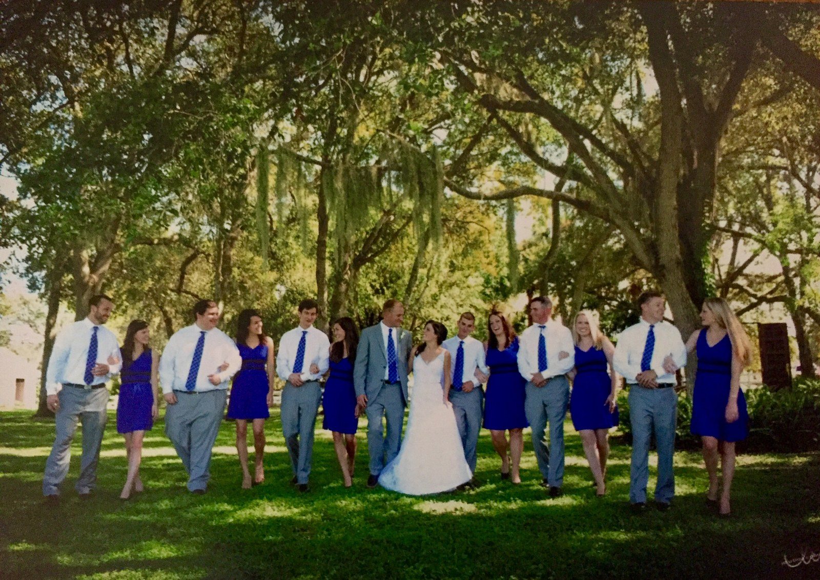 A Stroll Under The Oaks