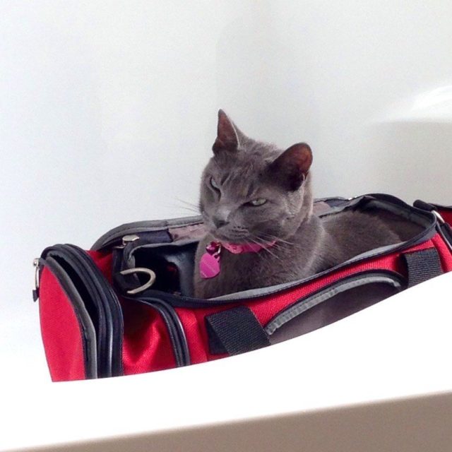 In The Suitcase Ready To Go!