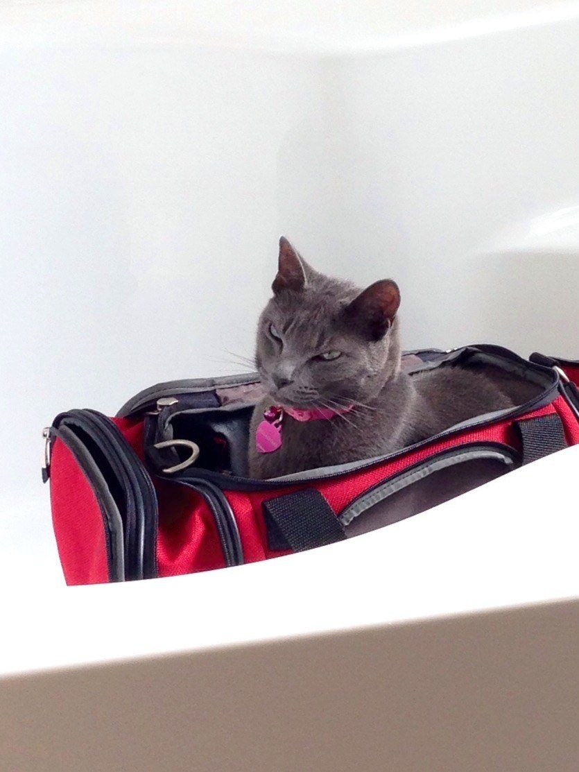 In The Suitcase Ready To Go!