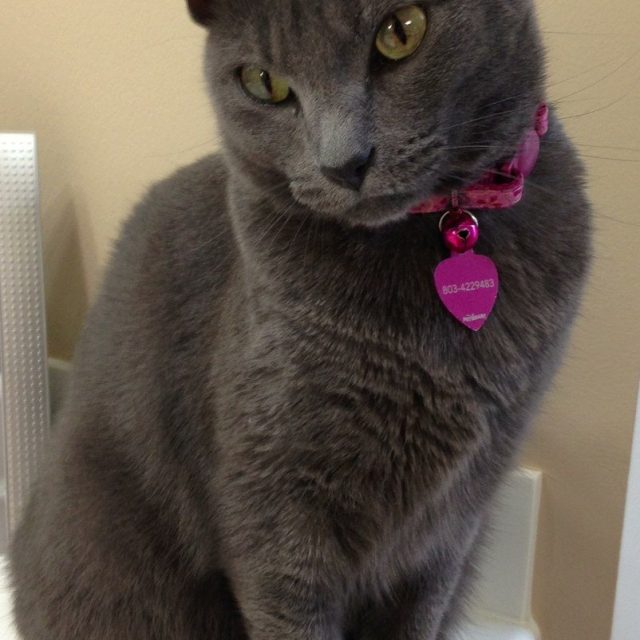 I Know I'm Pretty!