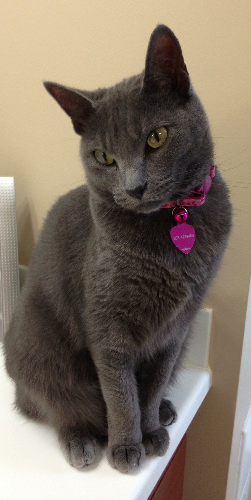I Know I'm Pretty!