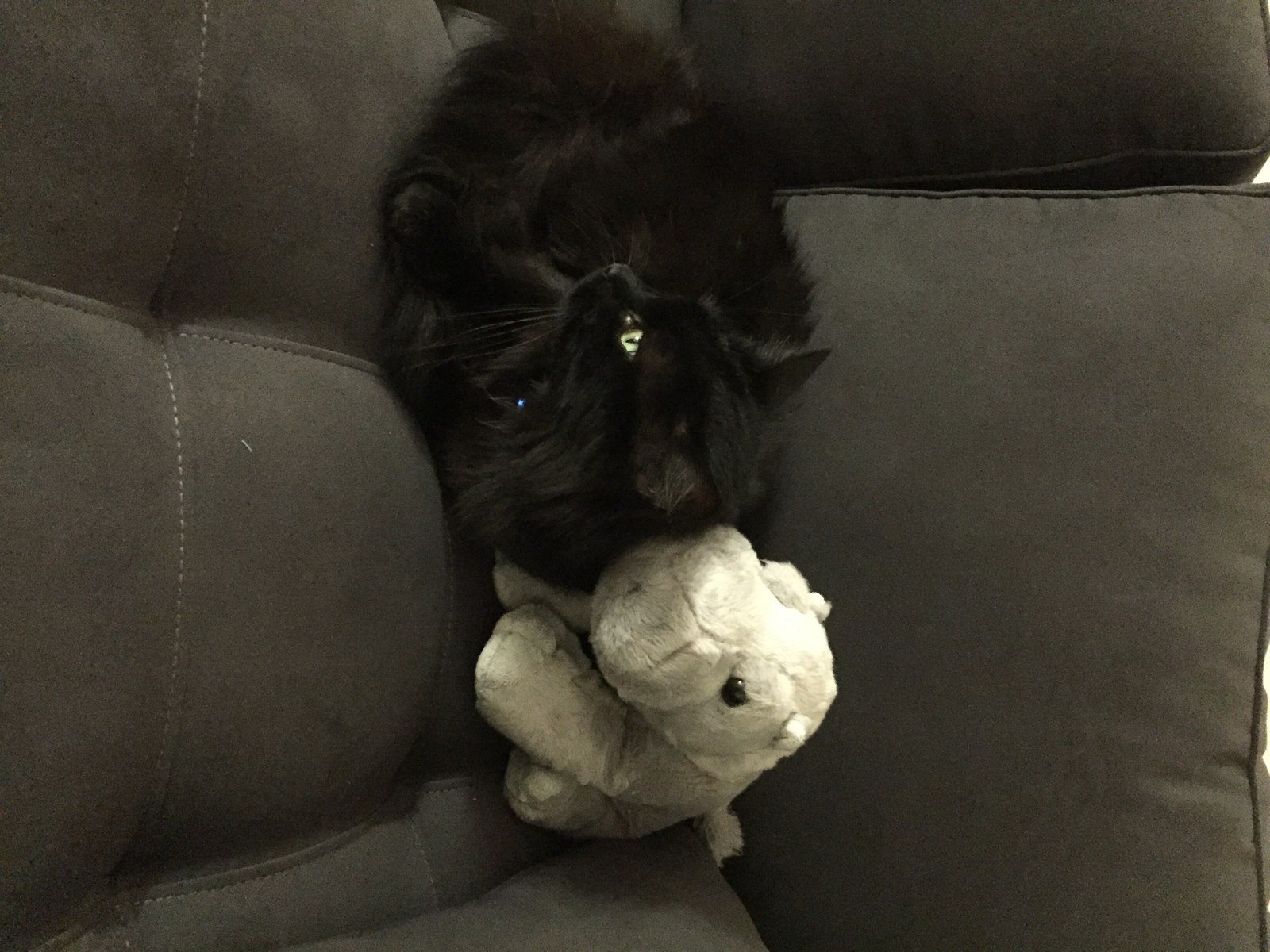 Keke Loves His Hippo