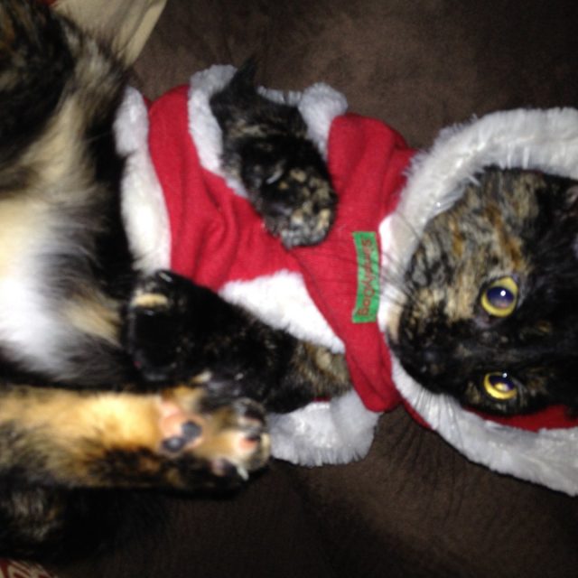 Santa's Watching!