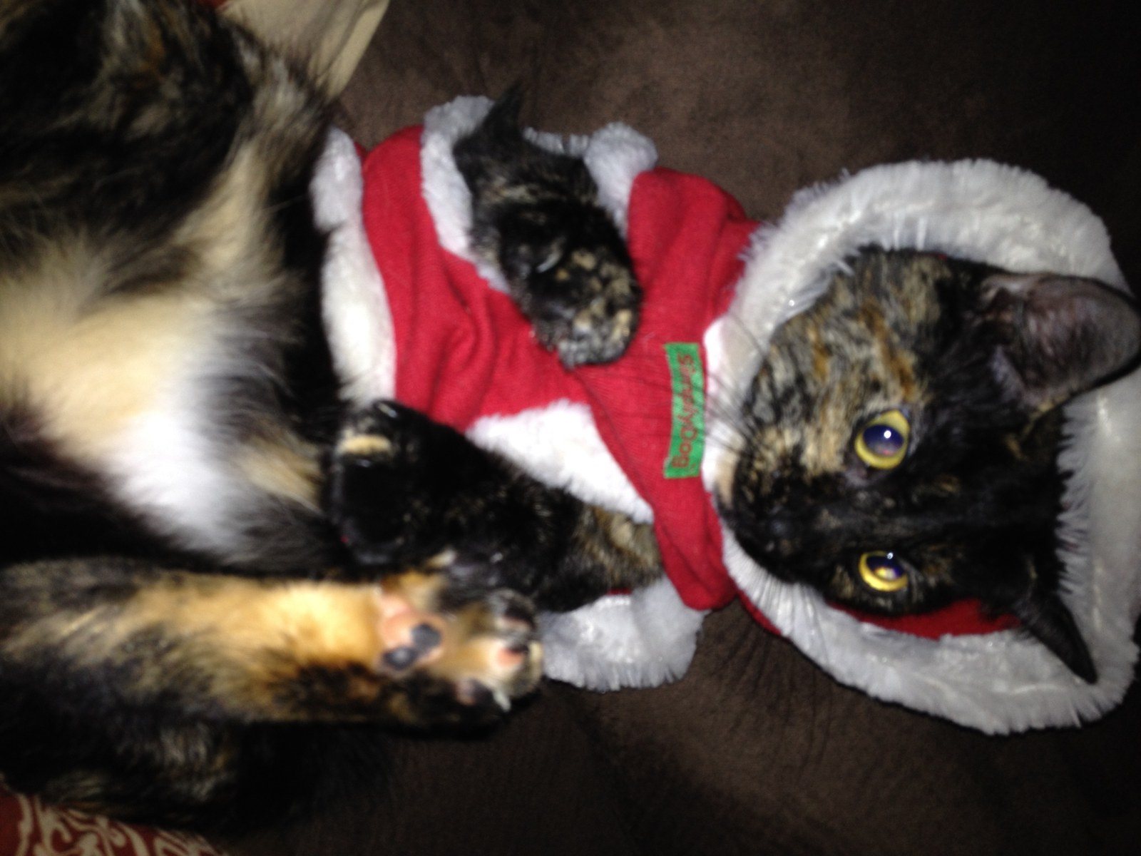 Santa's Watching!
