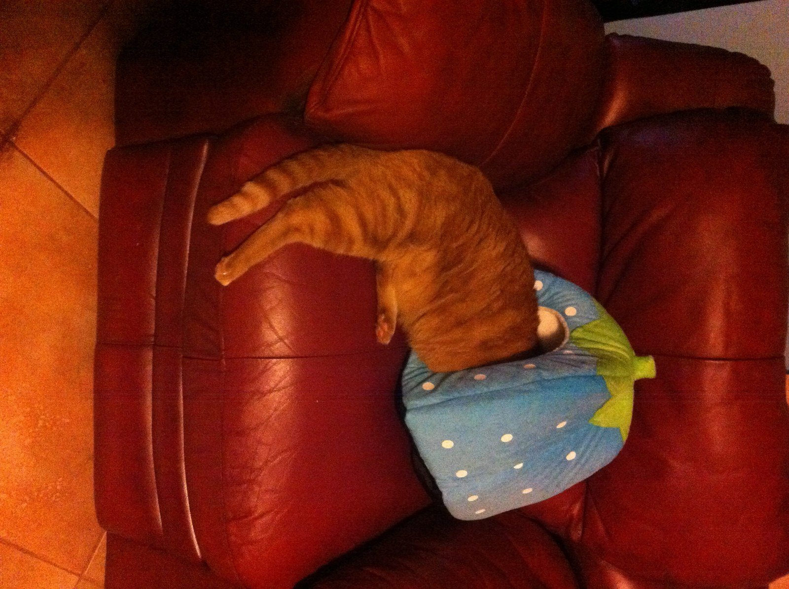 They'll Never Find Me Here