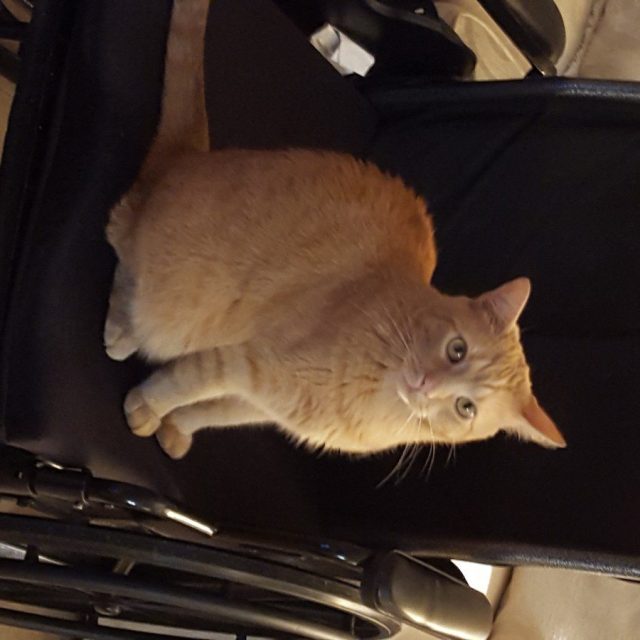 I Stole Mommies Ride...