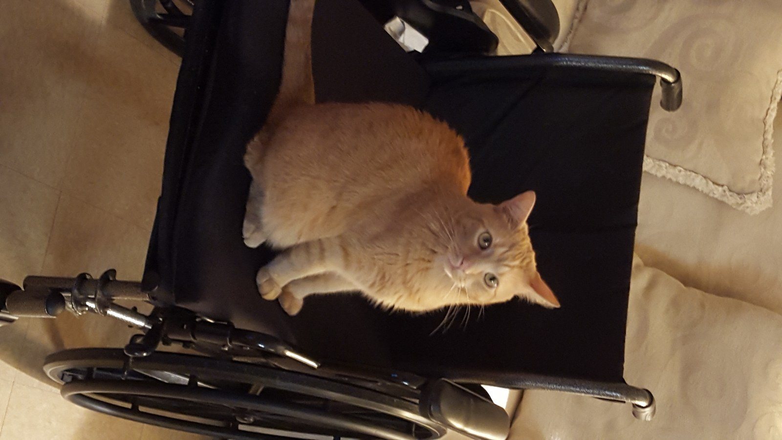 I Stole Mommies Ride...