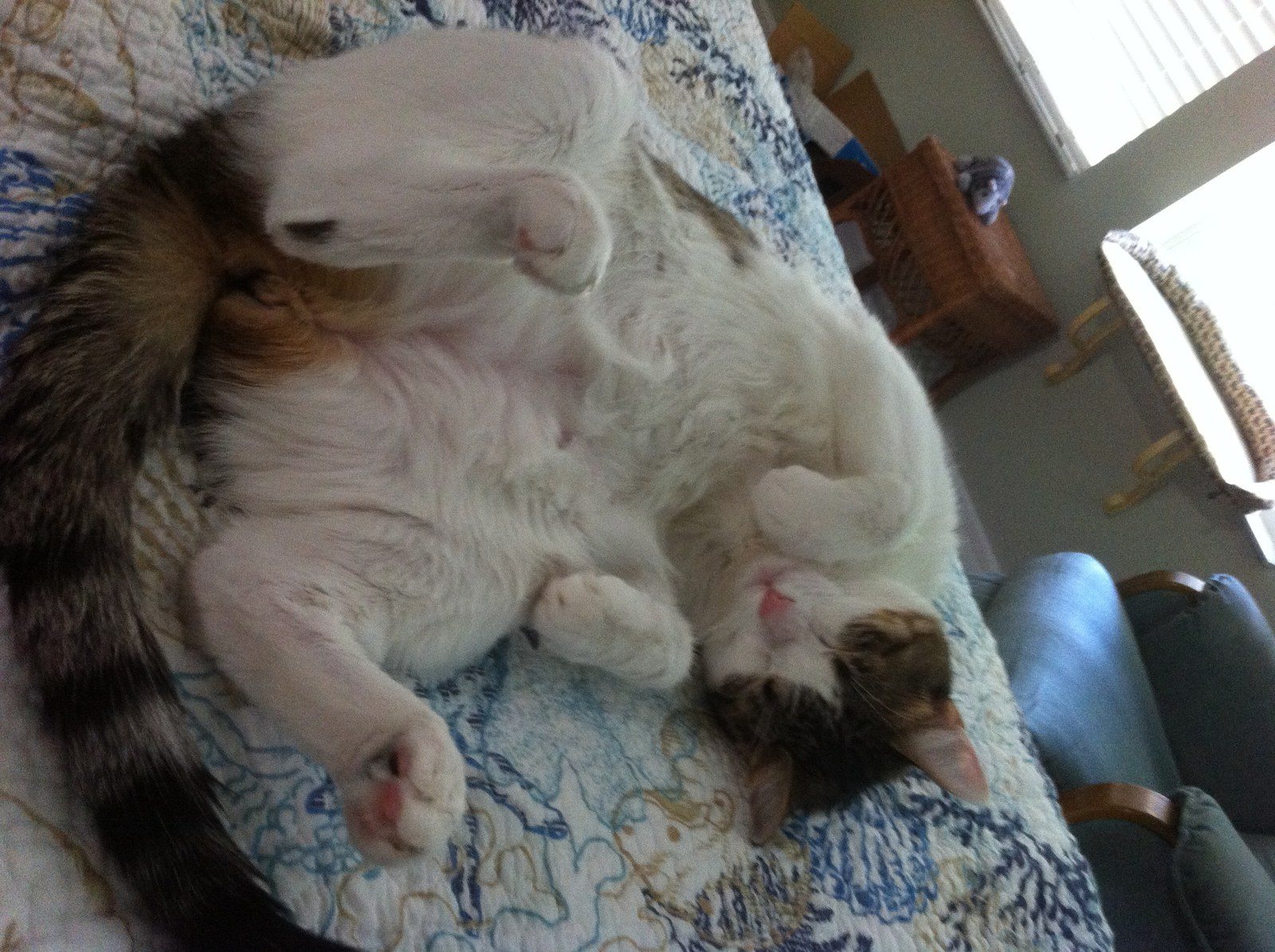 My Favorite Sleeping Position!