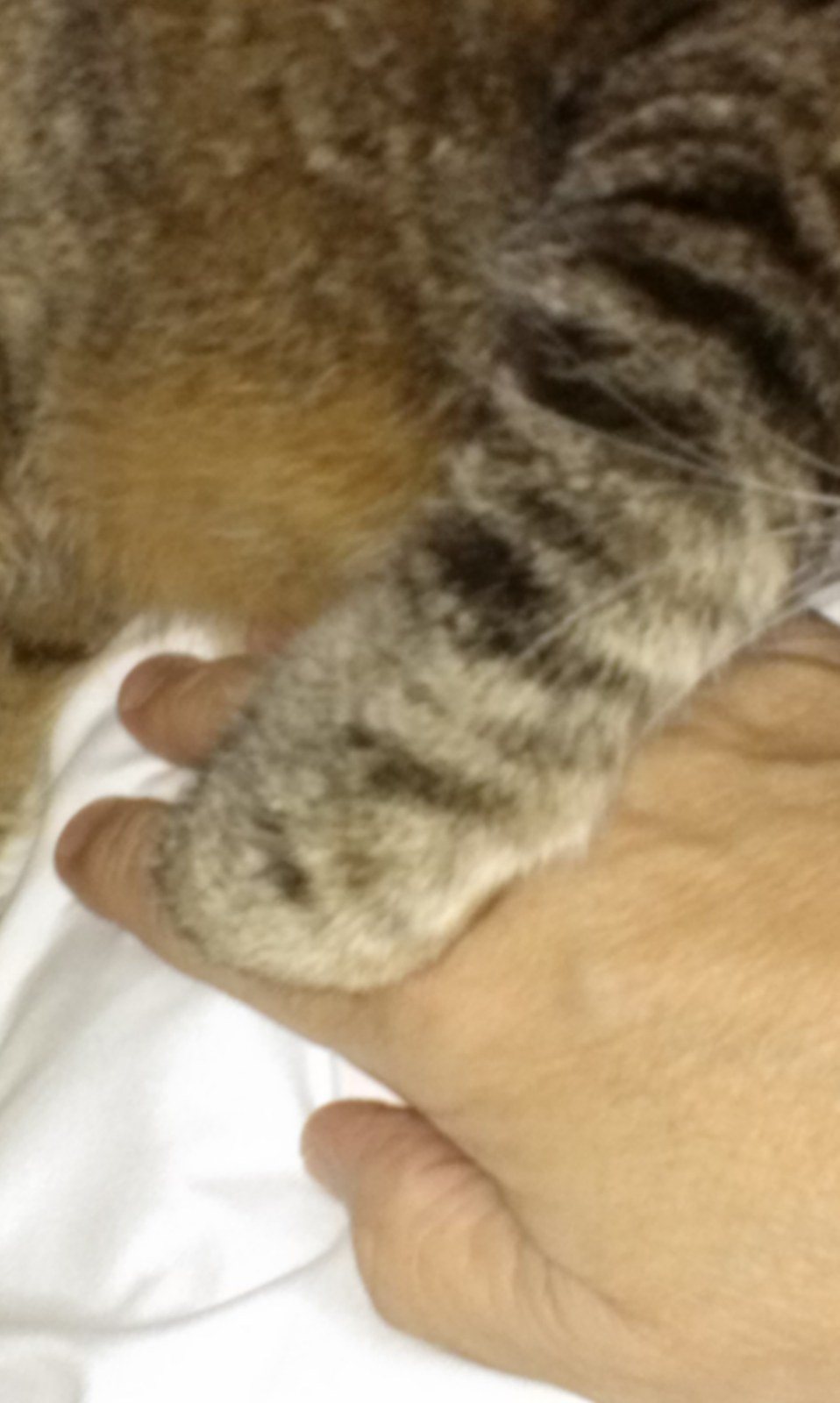 Marti's photo