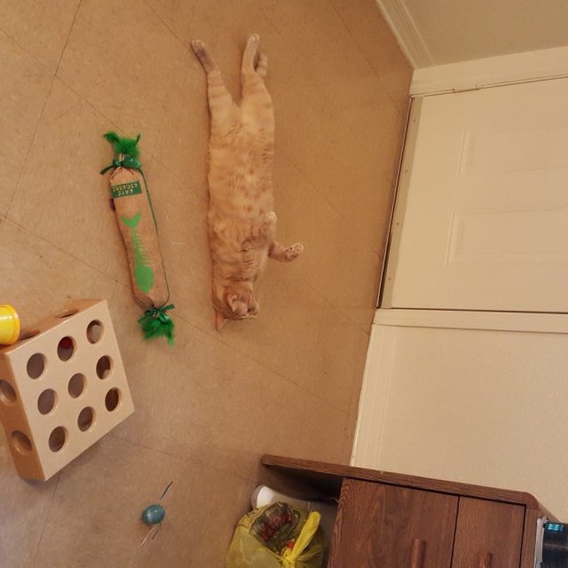Play Time