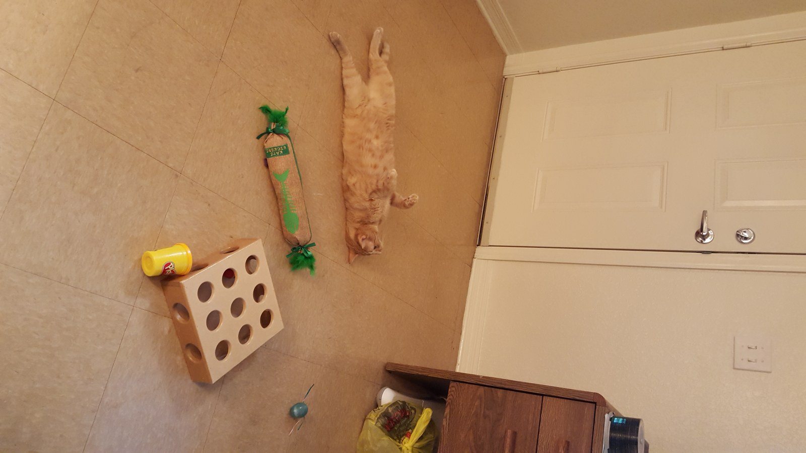 Play Time