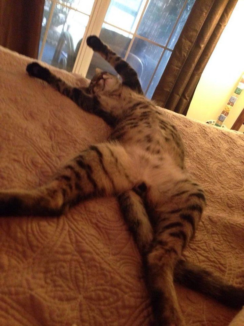 Bowie Praising The Lort