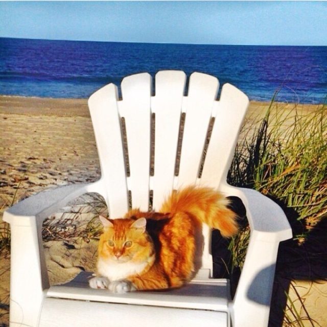 Beach Day!