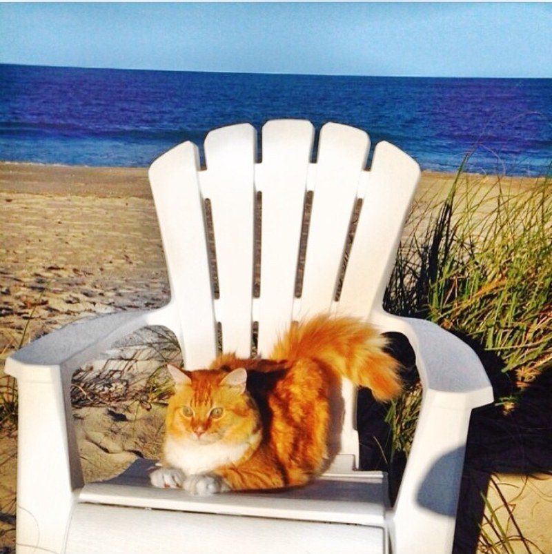Beach Day!