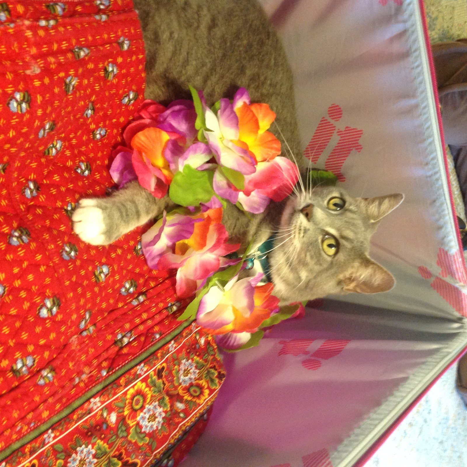 Time For Vacation! Let's Go!