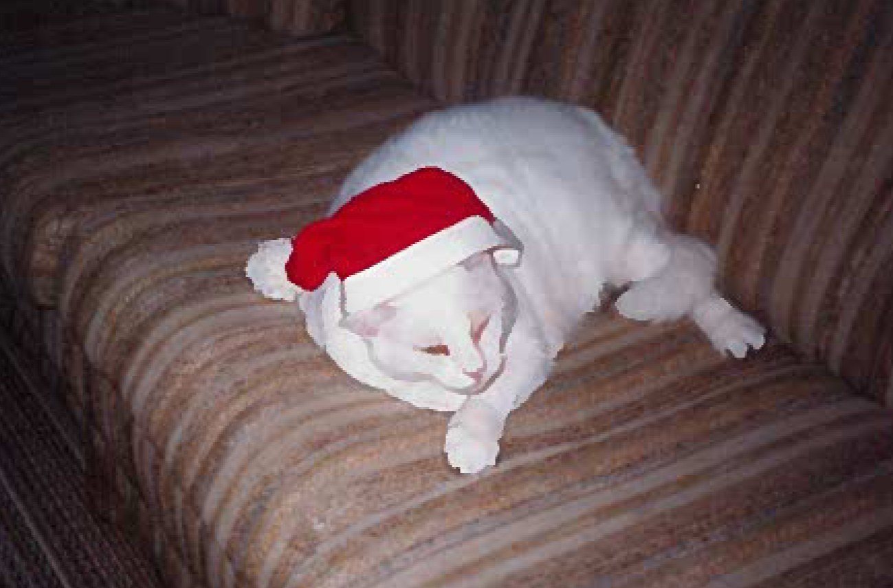 Santa Blackie