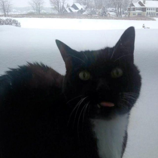 Brrrrrr Roland Say Brrrrrr