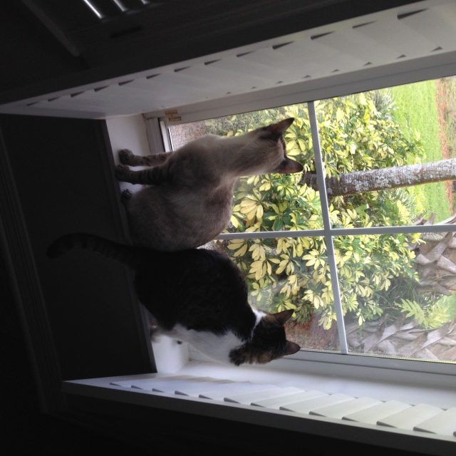 What's Out There?