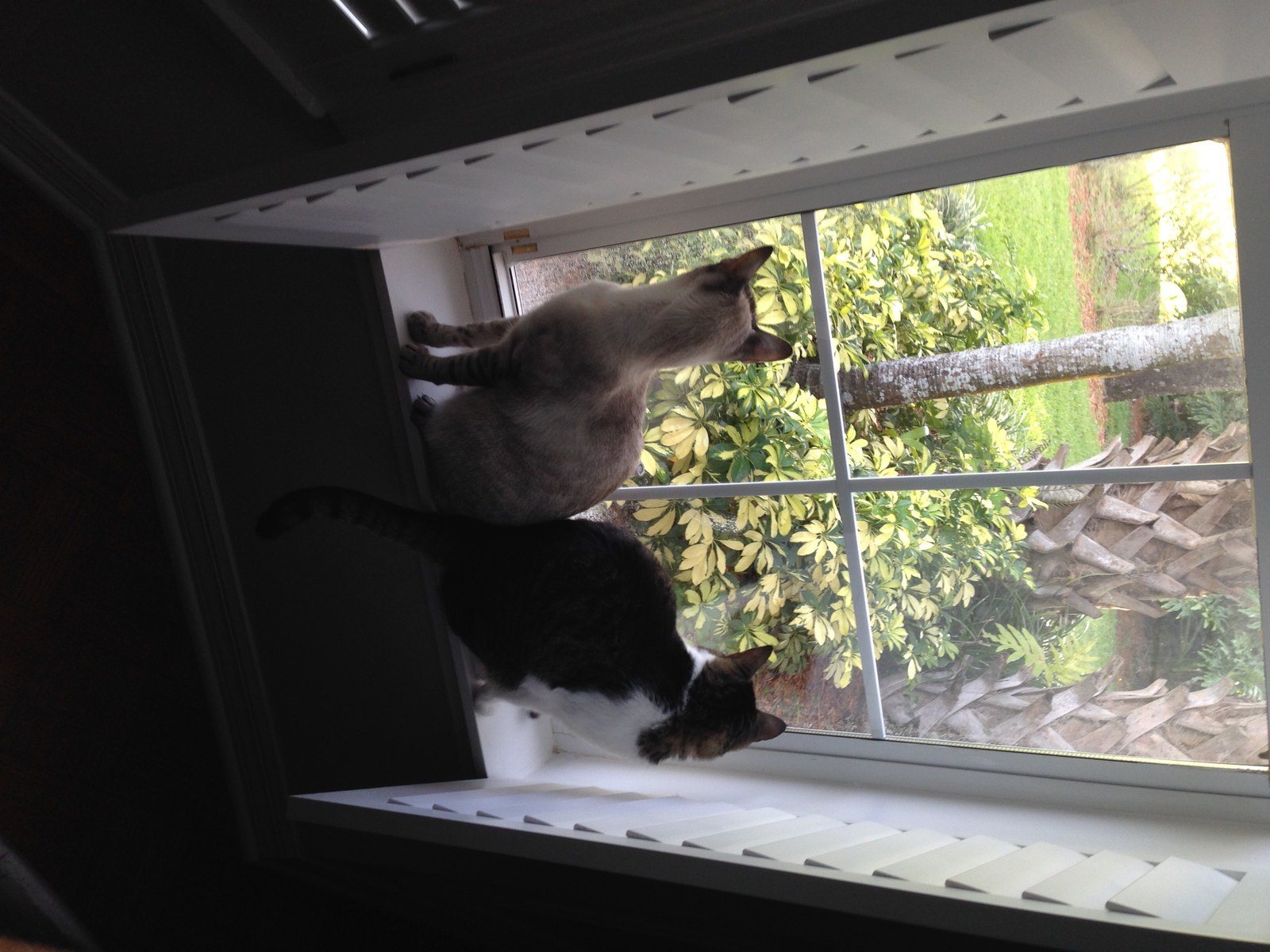 What's Out There?