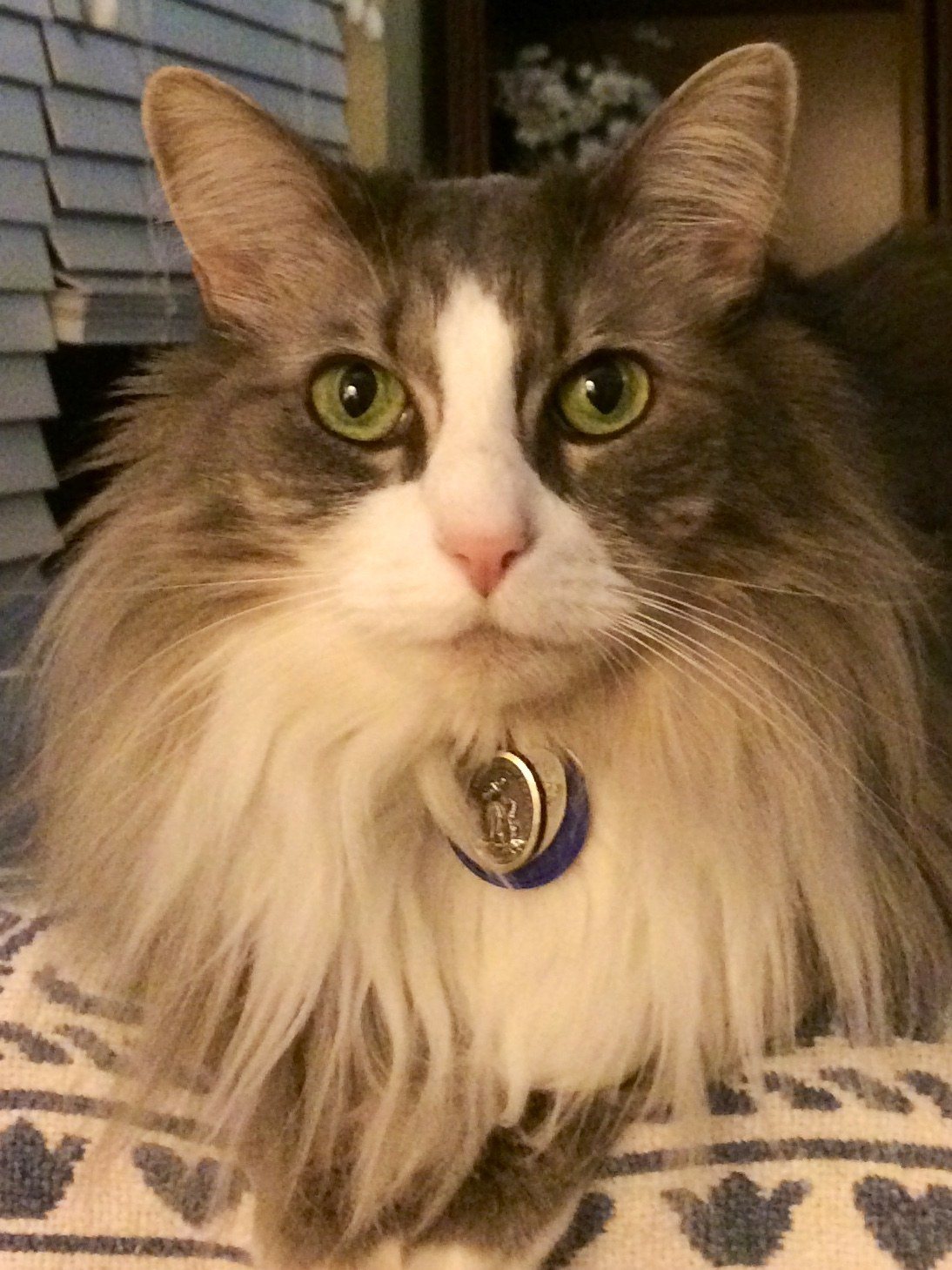 My Pretty Girl, Sissy