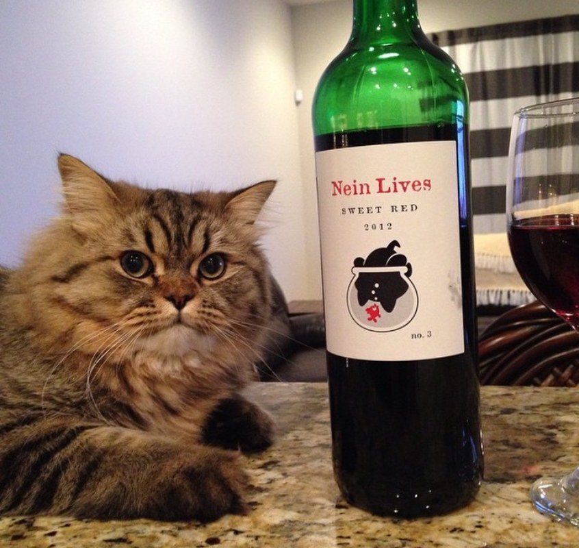 I Don't Always Drink Red Wine.. But When I Do, It's Nein Lives