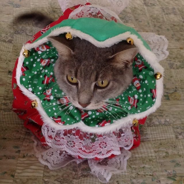 Bah Humbug!