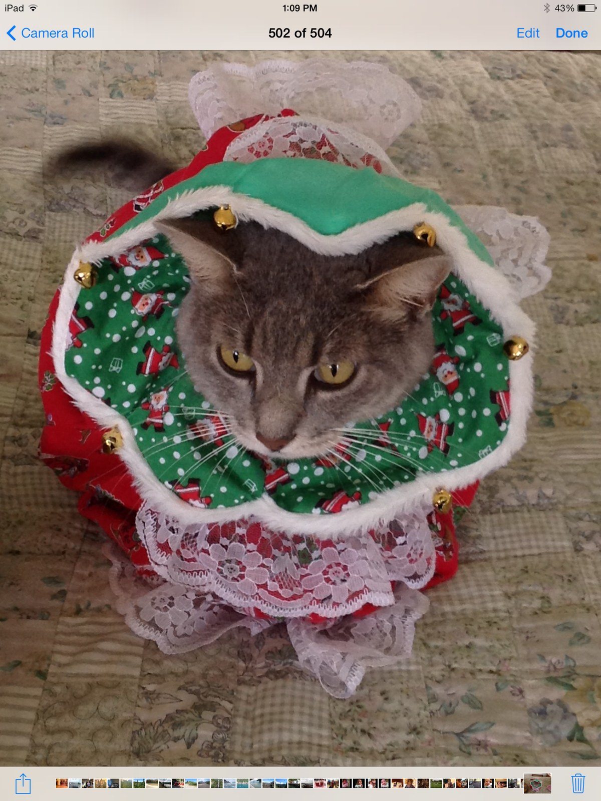 Bah Humbug!